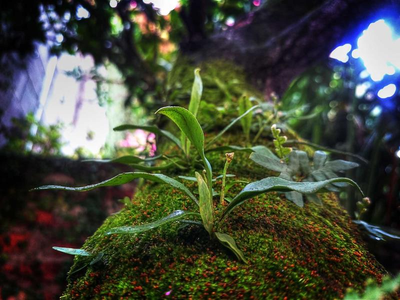 最后生还者<br>qyo4zwyv.cn 真菌孢子危机